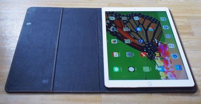 padandquillinsidewithipad